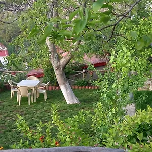  Tatil Evi Roleo Arnavutluk